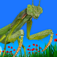 プログラムのアイコン：Bugs  Insects VRAR Kid Ga…