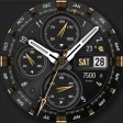 WFP 308 Analog watch face