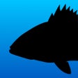 Ikon program: Fish Rules: Fishing App