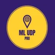 Programikonen: ML UDP PRO