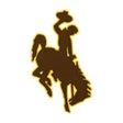 Icoon van programma: WYO Cowboys  Cowgirls Gam…