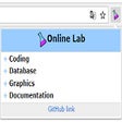 Online Lab