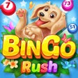程序图标：Bingo Rush - Club Bingo G…
