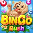 プログラムのアイコン：Bingo Rush - Club Bingo G…