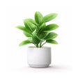 ไอคอนของโปรแกรม: Tree Identifier : Plant U…