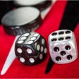 Programikonen: Backgammon Match