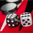 Icono de programa: Backgammon Match