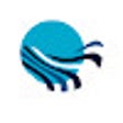 Programikonen: Live Transcript Extension