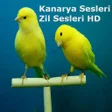 Ícone do programa: Kanarya Sesleri Zil Sesle…
