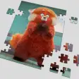 Turning Red Games Puzzle