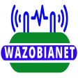 Wazobianet - Data VTU  more