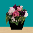 Icon of program: Flower Room - room escape…