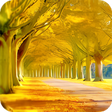 Scenery Wallpaper HD icon