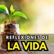 程序图标：Reflexiones De La Vida