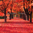 Ikona programu: Autumn Trees wallpaper th…