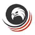 Icon of program: Shaheen Forces Academy