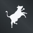 Ikona programu: Swisscows Private Search