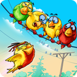 Programikonen: Birds On A Wire: Match 3