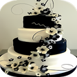 Programikonen: Wedding Cake Design