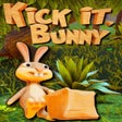 Kick it Bunny icon