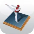 Taekwondo Bible - Poomsae and Terminology