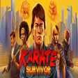 Icoon van programma: Karate Survivor