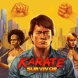 ไอคอนของโปรแกรม: Karate Survivor