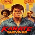 プログラムのアイコン：Karate Survivor