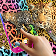 Icon of program: Cheetah leopard live wall…