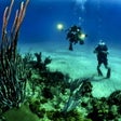 Programikonen: Underwater Hidden Numbers