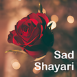 プログラムのアイコン：Sad Shayari