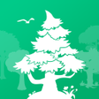 Icon of program: Project Forest