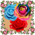 プログラムのアイコン：Rose Garden free games of…