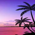 プログラムのアイコン：Nature Wallpaper