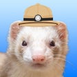 ไอคอนของโปรแกรม: Ferret Explorer