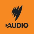 Ikon program: SBS Audio