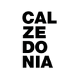 プログラムのアイコン：Calzedonia