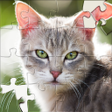 Ícone do programa: Jigsaw Puzzles Sorting Ga…
