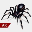 프로그램 아이콘: AR Spiders
