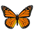 プログラムのアイコン：MonarcaMx