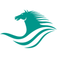 Ícone do programa: SendNomad