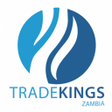 程序图标：Tradekings