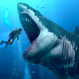程序图标：Shark Hunting 3D : Shark …