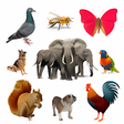 Icon of program: Animal Bird Insect Sounds…
