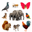 Animal Bird Insect Sounds and Ringtones