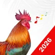 رمز البرنامج: Animal Sounds: Animal Rin…