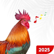 프로그램 아이콘: Animal Sounds: Animal Rin…