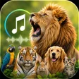 Icona del programma: Animal Sounds: Animal Rin…