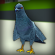Programikonen: Pigeon Rampage Simulator