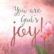 程序图标：Christian Wallpaper-Jesus…